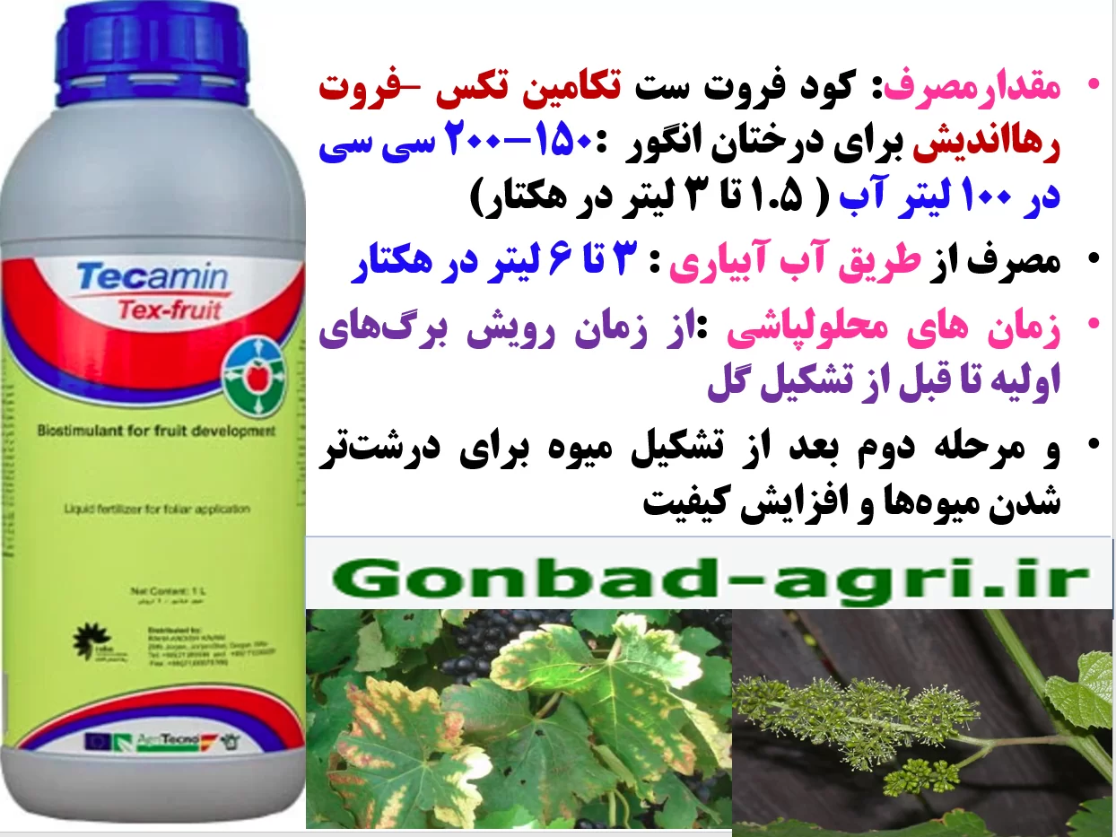کود تکامین تکس فروت رهااندیش به عنوان کود فروت ست برای درختان انگور- قسمت دوم