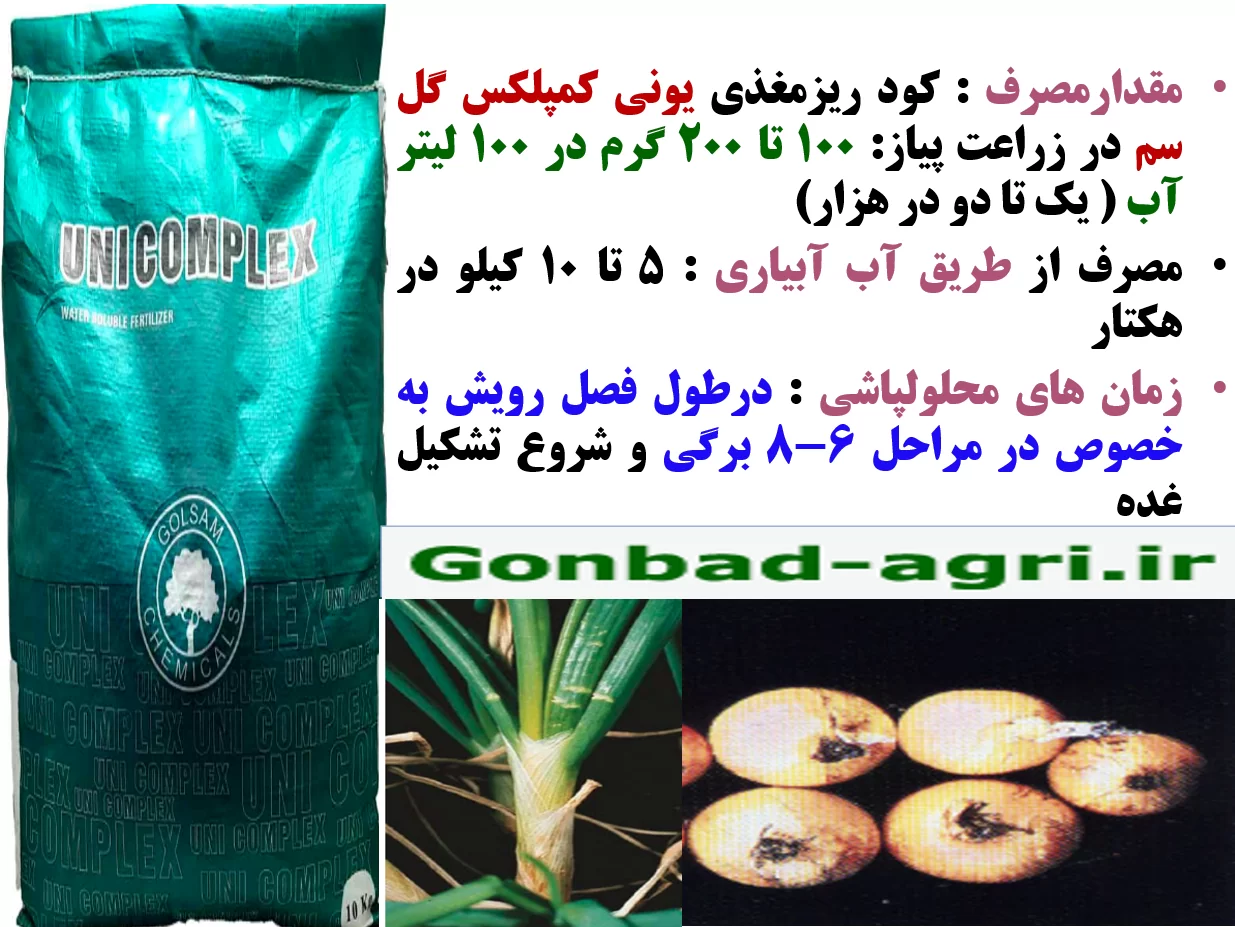 کود یونی کمپلکس گل سم برای تقویت تولید و کیفیت پیاز – قسمت دوم