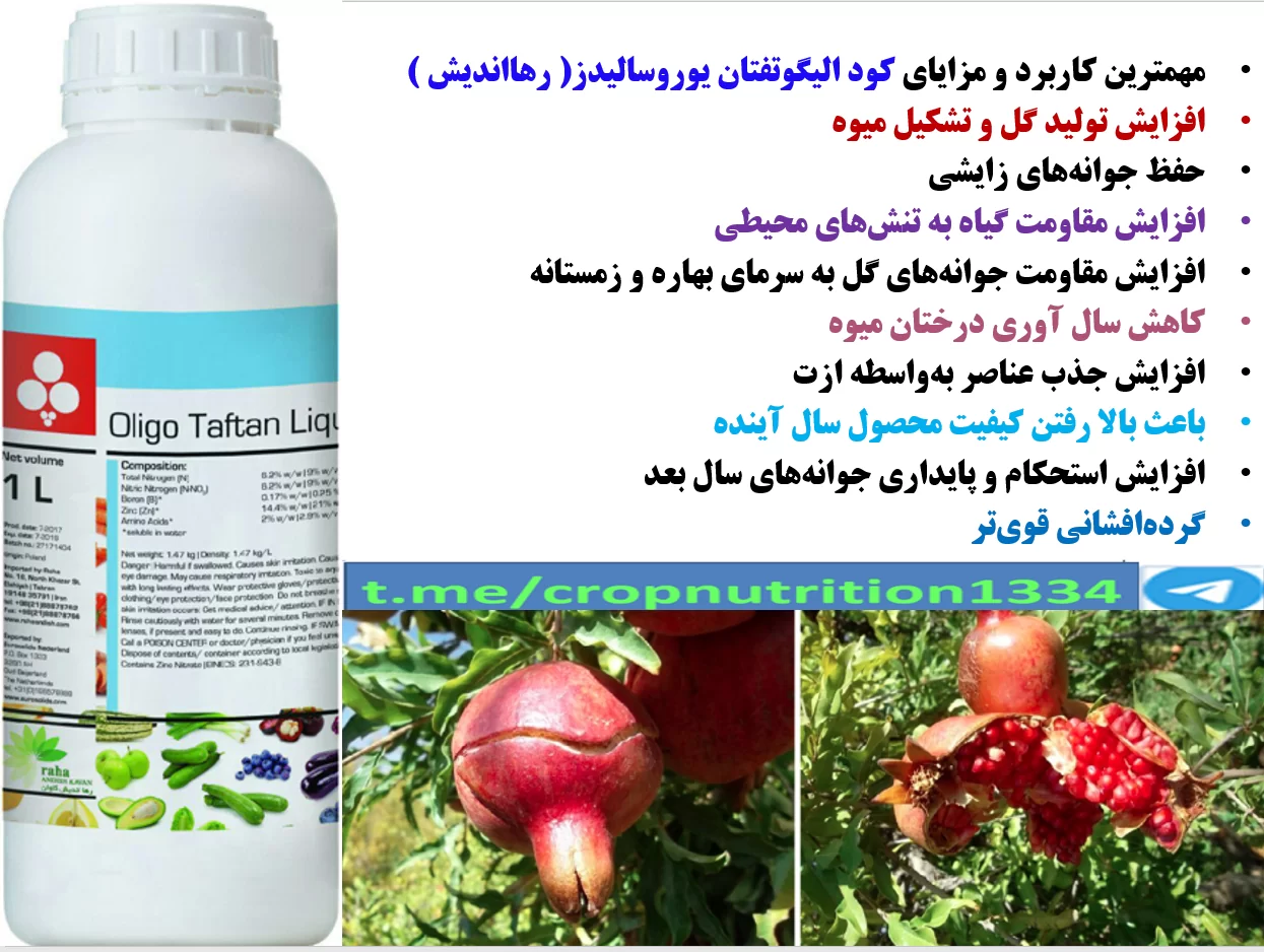 کود مایع الیگوتفتان رهااندیش کود فروت ست درختان انار- قسمت سوم