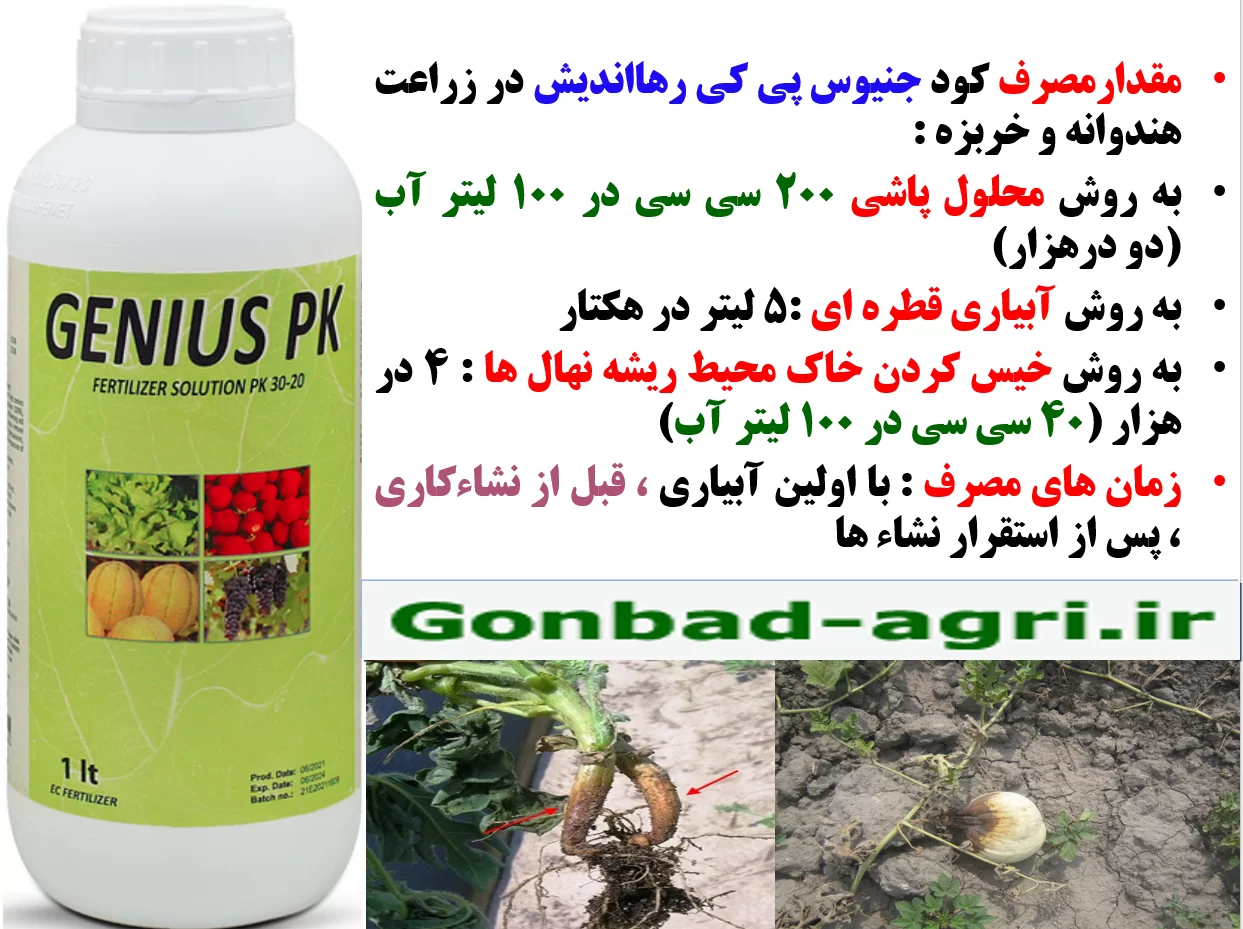 تقویت بوته های هندوانه و خربزه در برابر بیماری های قارچی- قسمت دوم