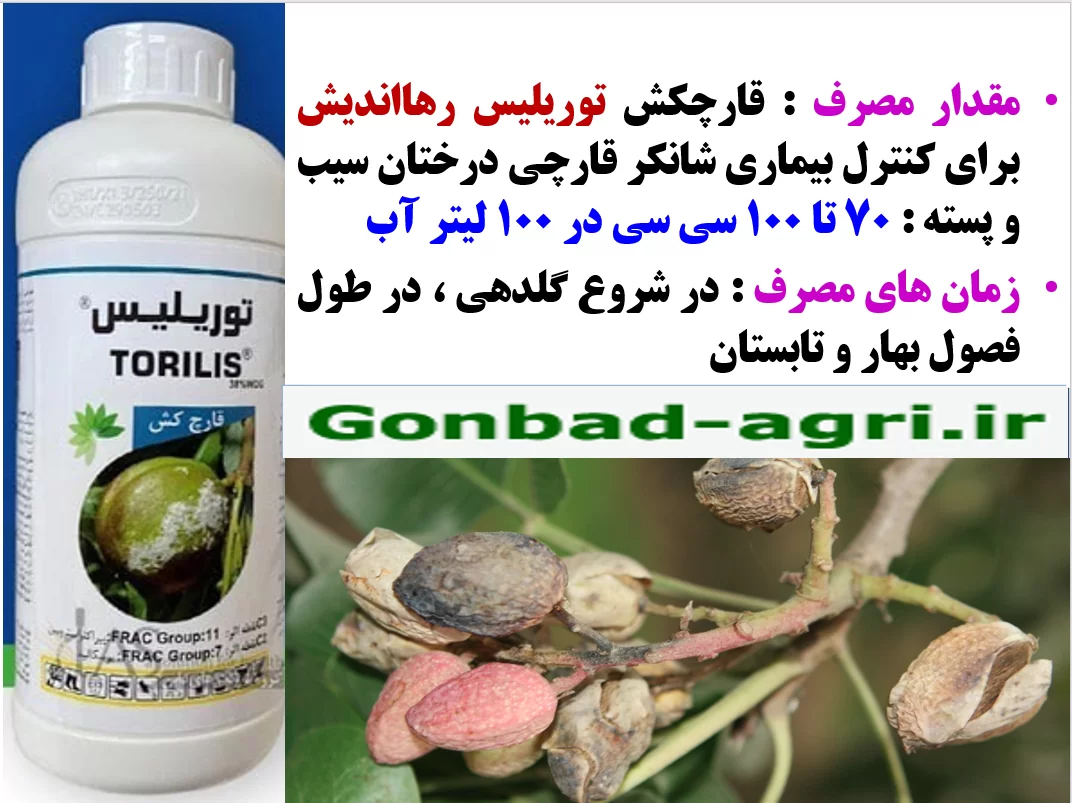 قارچکش توریلیس رهااندیش برای کنترل بیماری شانکر قارچی درختان پسته – قسمت دوم