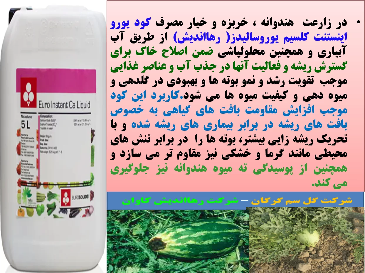 کود یورو اینستنت کلسیم رهااندیش برای تقویت ریشه زایی و میوه دهی بوته های هندوانه -قسمت اول