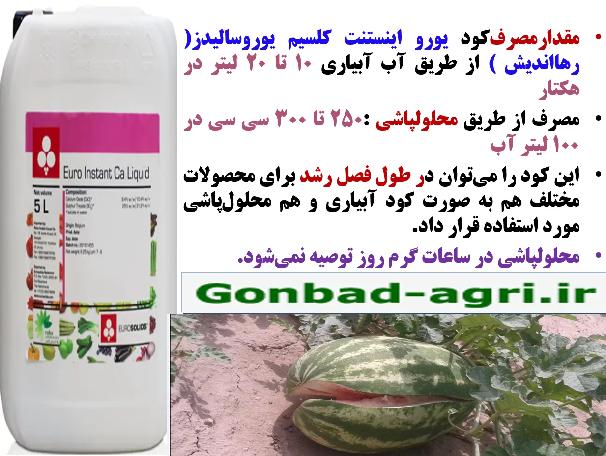 کود یورو اینستنت کلسیم رهااندیش برای تقویت ریشه زایی و میوه دهی بوته های هندوانه -قسمت دوم