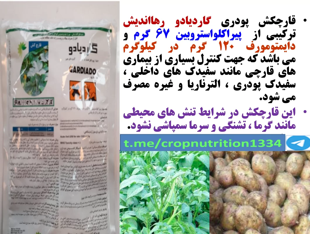 کنترل بیماری های سیب زمینی با قارچکش گاردیادو رهااندیش- قسمت سوم