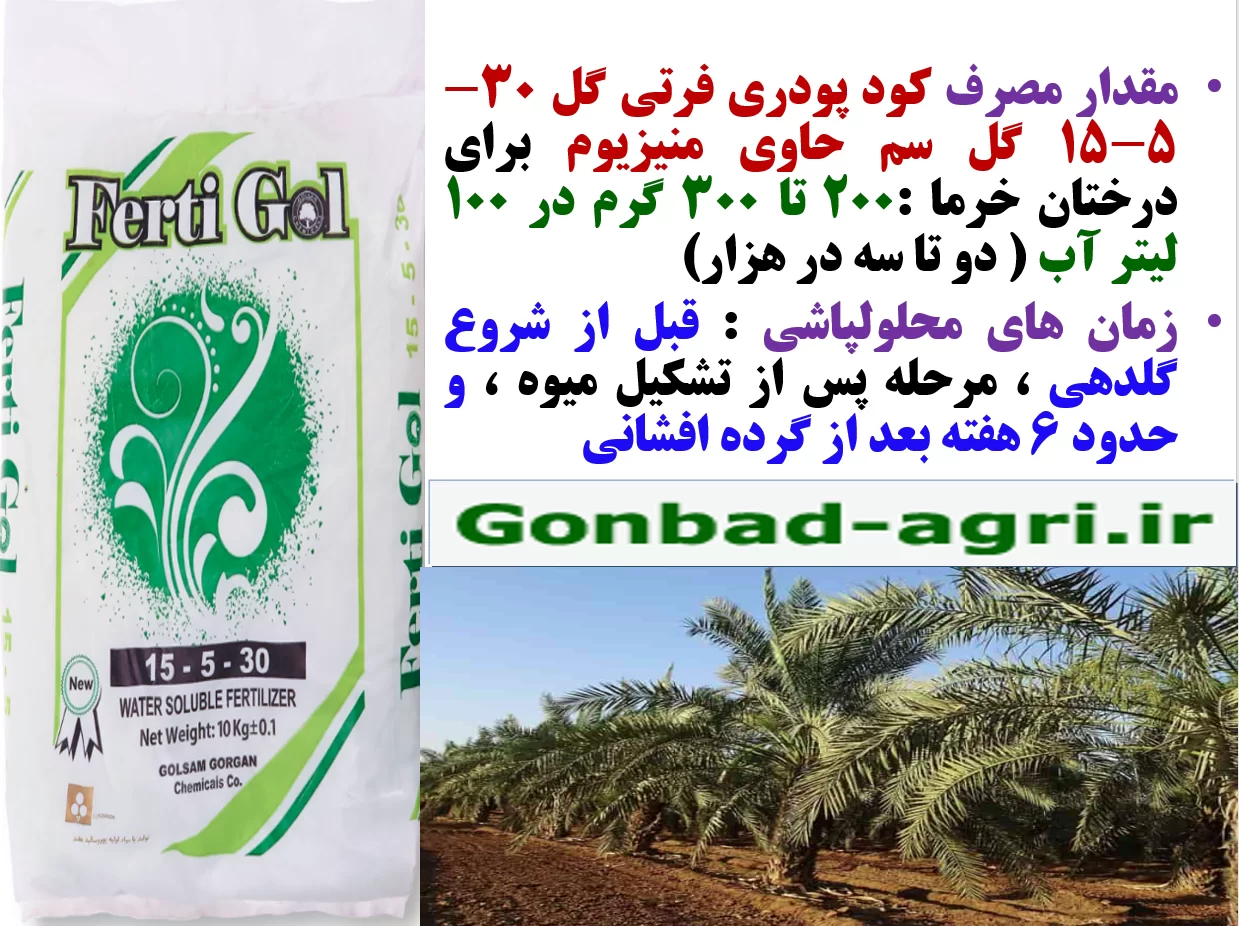 تقویت میوه دهی نخل های خرما با کود فرتی گل ۳۰-۵-۱۵ – قسمت دوم