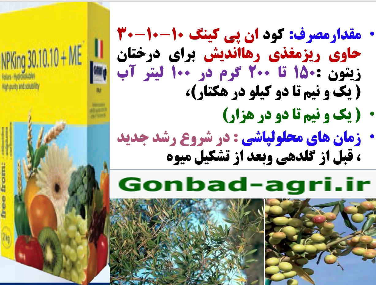 کود فروت ست درختان زیتون با کود نپکینگ ۱۰-۱۰-۳۰ رهااندیش – قسمت دوم