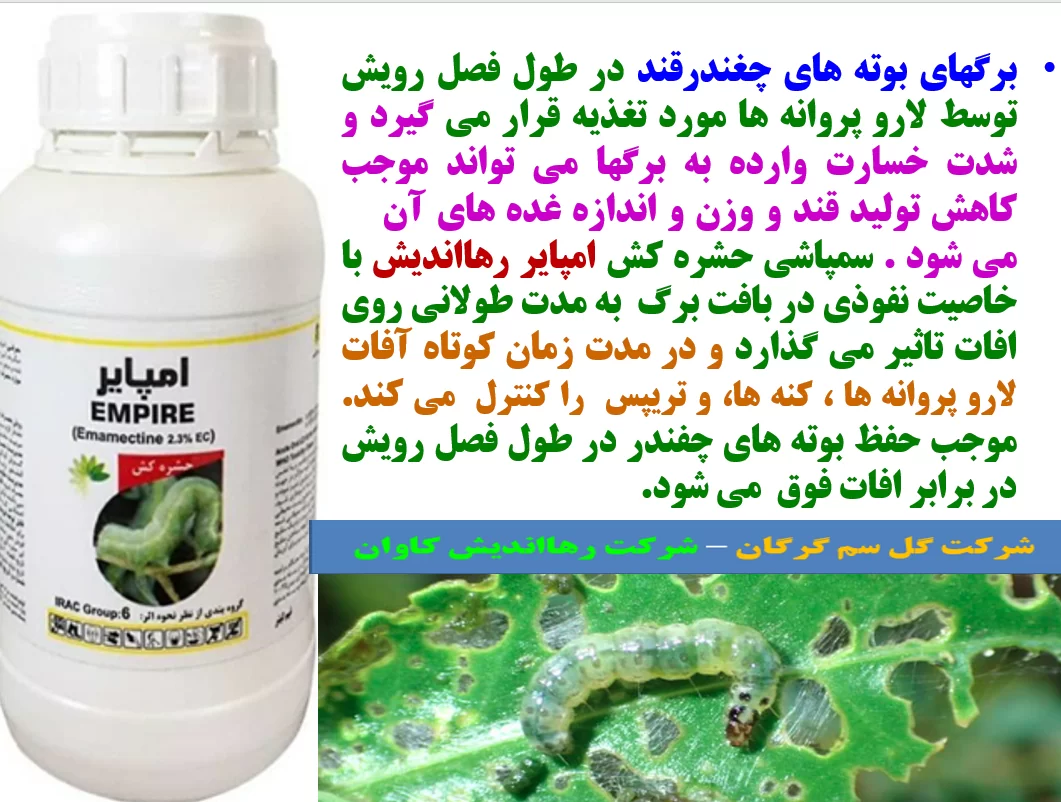 حشره کش امپایر رهااندیش برای کنترل کرم های برگخوار چغندر قند – قسمت اول
