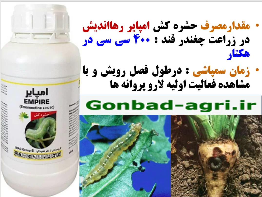 حشره کش امپایر رهااندیش برای کنترل کرم های برگخوار چغندر قند – قسمت دوم