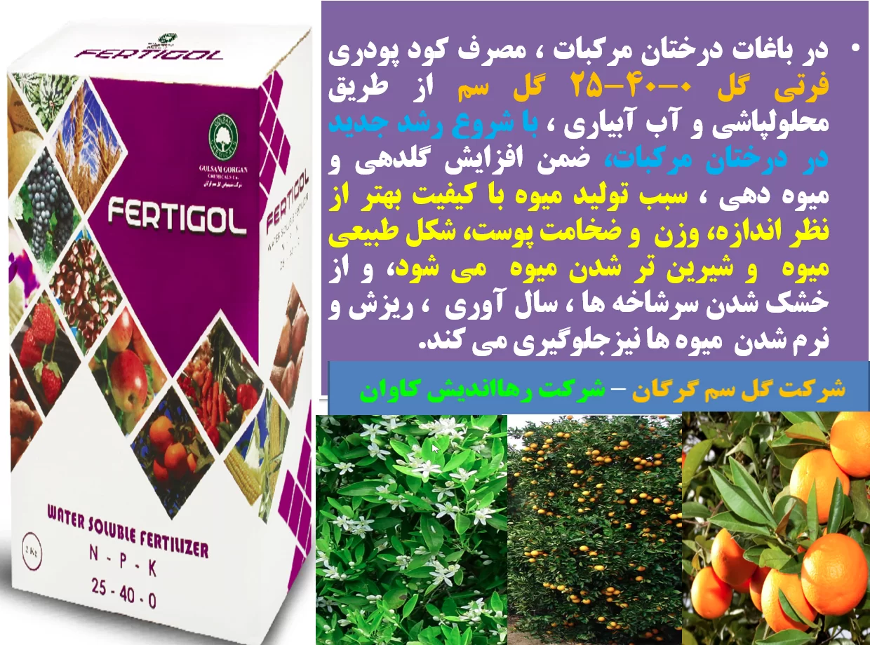 کود فرتی گل ۰-۴۰-۲۵ گل سم برای افزایش گلدهی و میوه دهی درختان مرکبات – قسمت اول