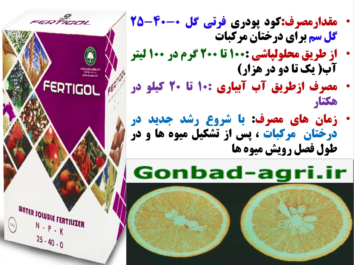 کود فرتی گل ۰-۴۰-۲۵ گل سم برای افزایش گلدهی و میوه دهی درختان مرکبات – قسمت دوم