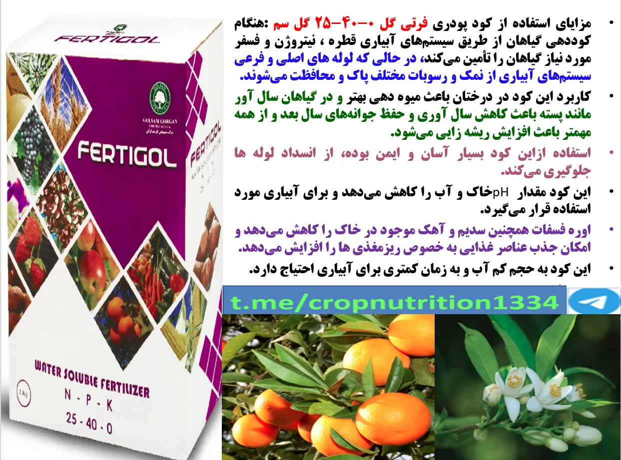 کود فرتی گل ۰-۴۰-۲۵ گل سم برای افزایش گلدهی و میوه دهی درختان مرکبات – قسمت سوم