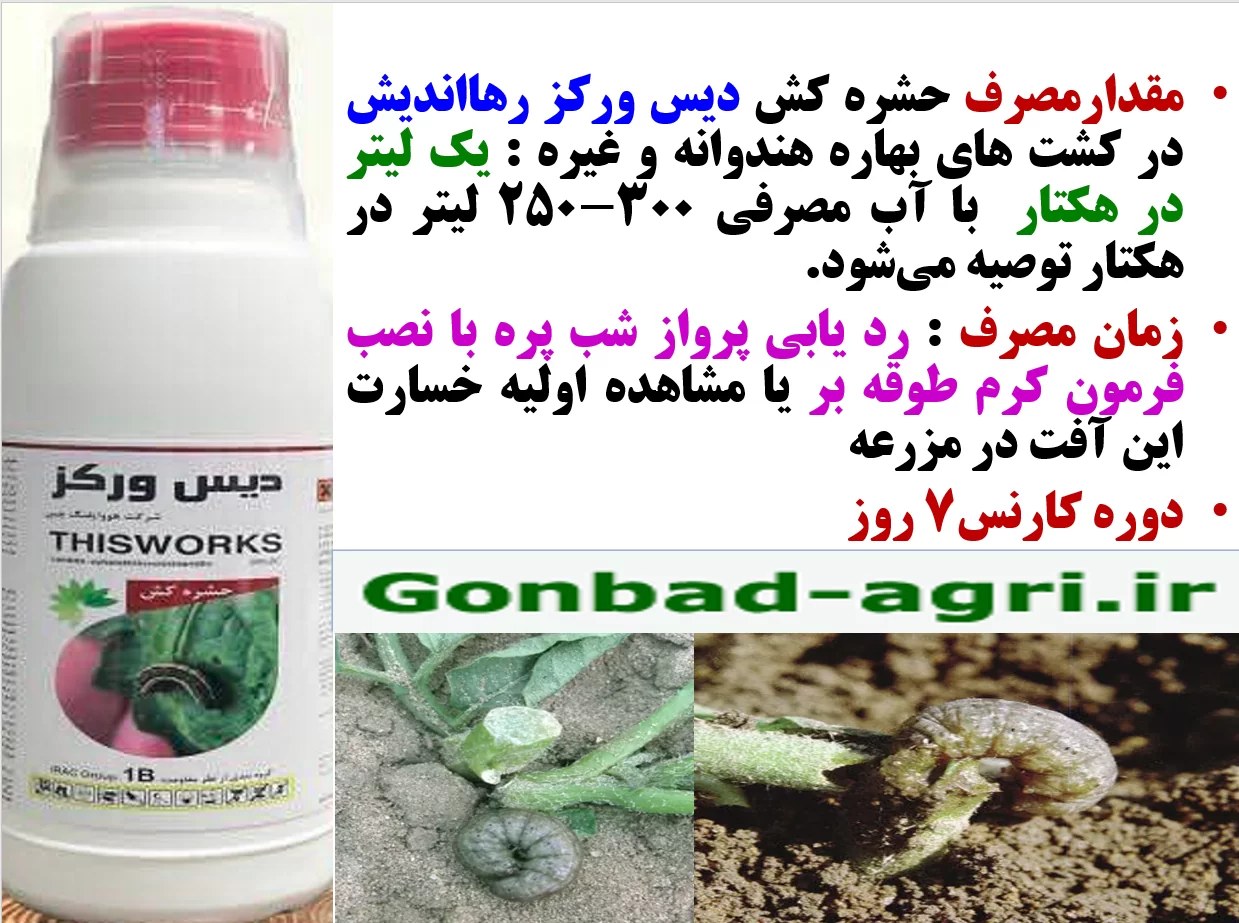 حشره کش دیس ورکز رهااندیش برای کنترل لارو پروانه ها به خصوص کرم طوقه بر-قسمت دوم