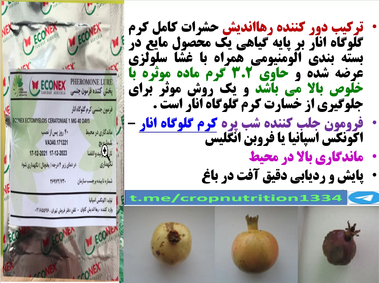 ترکیب گیاهی رهااندیش به عنوان دور کننده پروانه برای جلوگیری از خسارت کرم گلوگاه انار – قسمت سوم