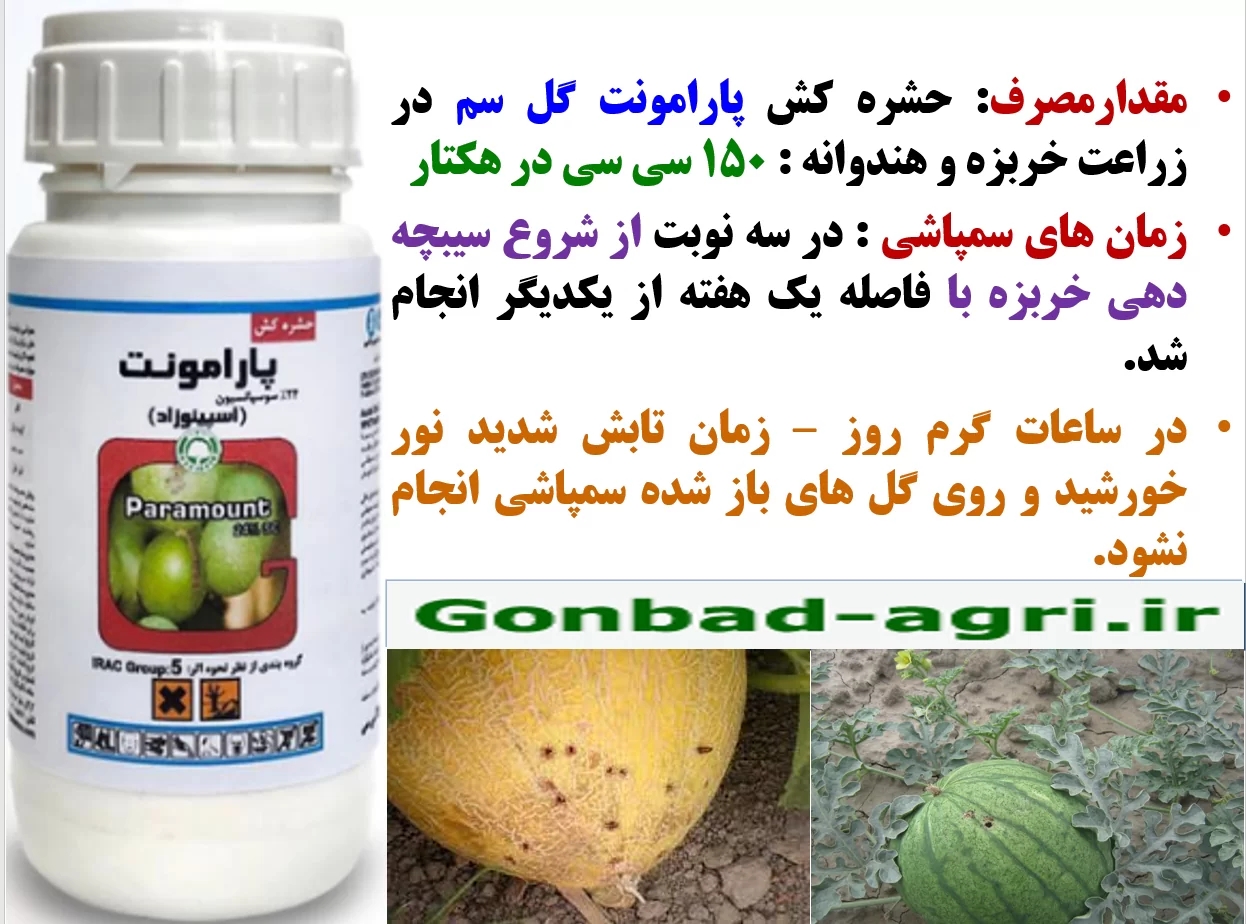 حشره کش پارامونت گل سم برای کنترل مگس خربزه و جالیز- قسمت دوم