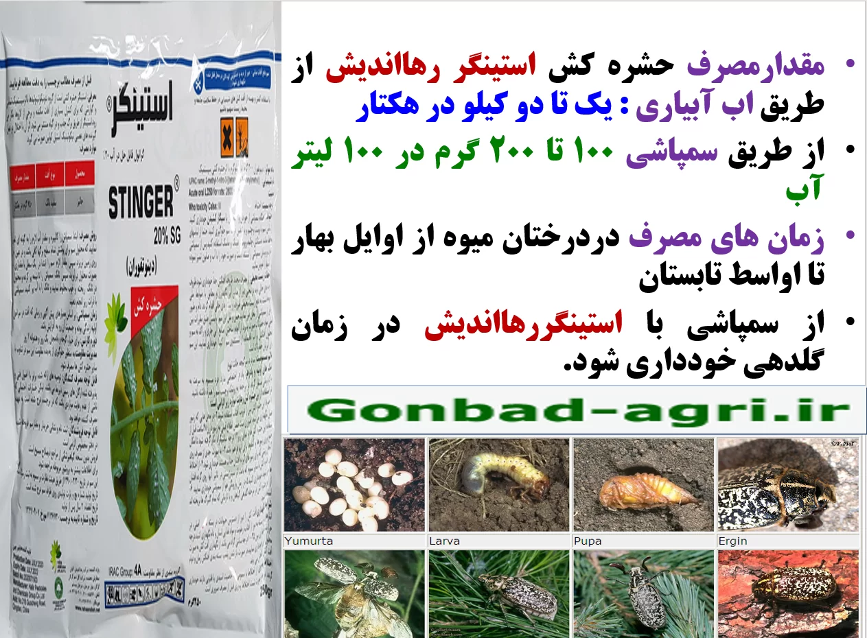 کنترل افات ریشه ، طوقه وتنه درختان میوه با حشره کش استینگر رهااندیش – قسمت دوم