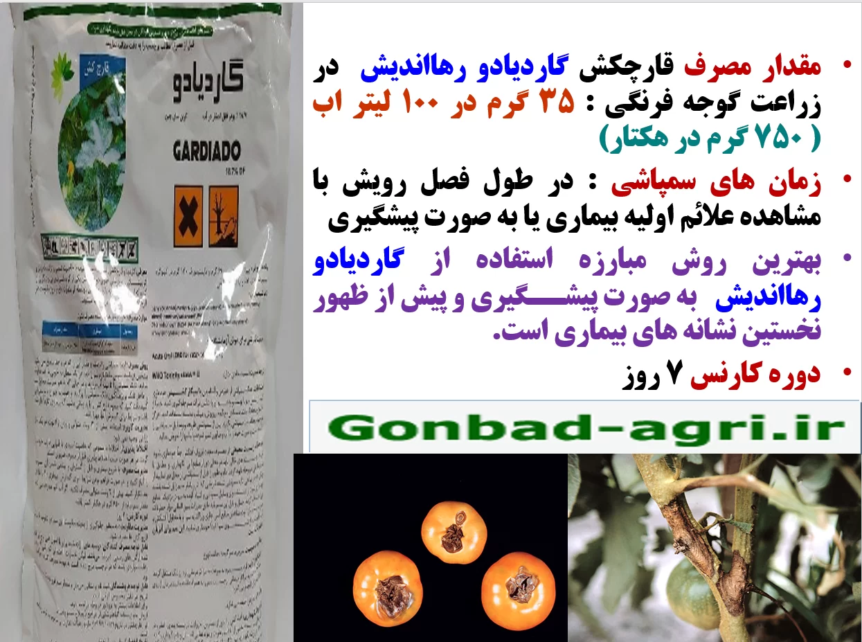 کنترل بیماری های گوجه فرنگی با قارچکش گاردیادو رهااندیش – قسمت دوم
