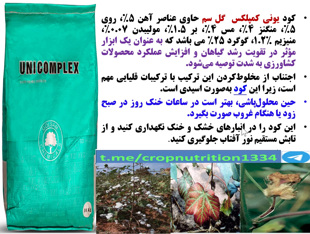 افزایش توان تولید گل و قوزه در بوته های پنبه با مصرف کود یونی کمپلکس گل سم – قسمت سوم