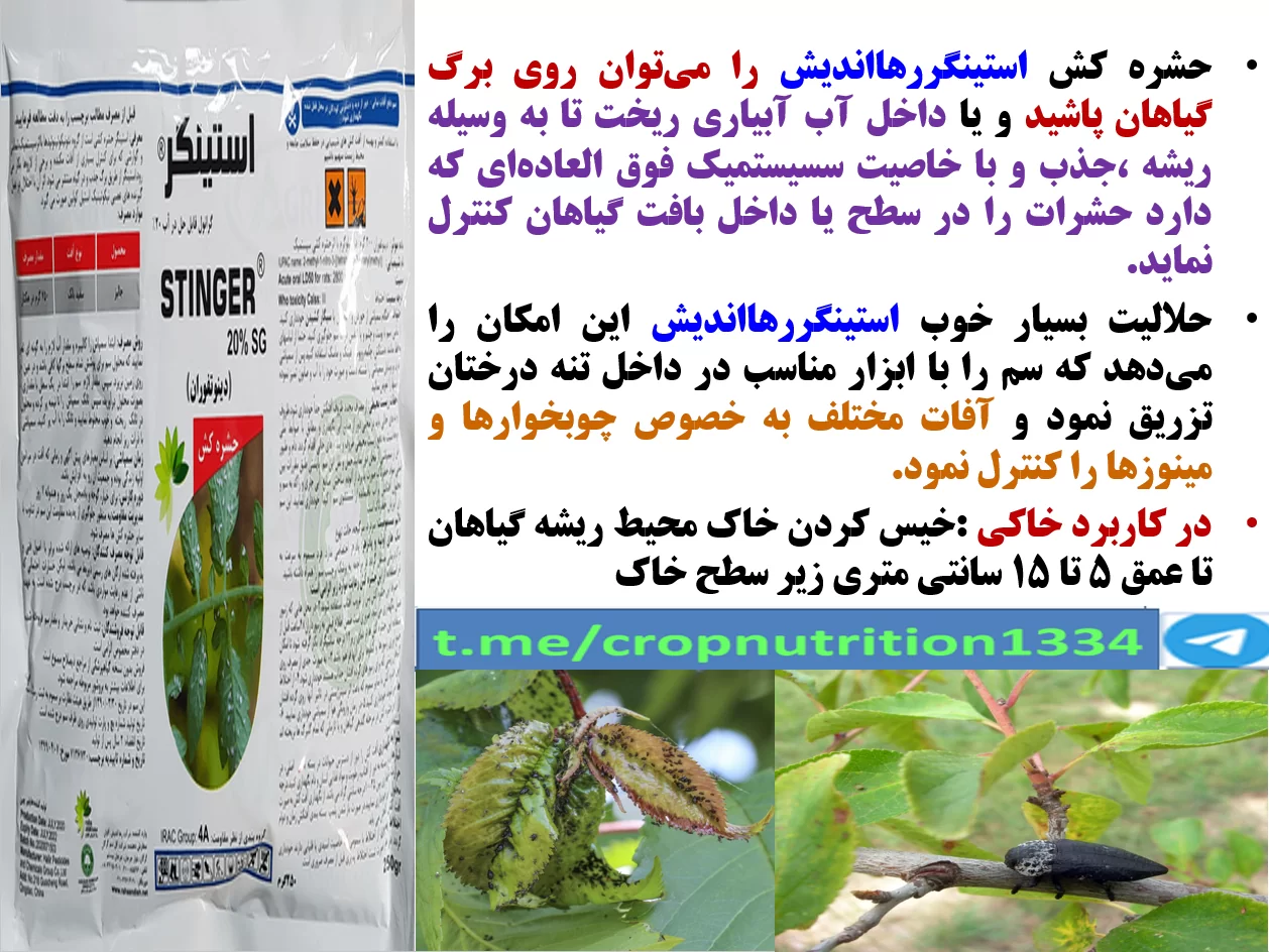 کنترل افات ریشه ، طوقه وتنه درختان میوه با حشره کش استینگر رهااندیش – قسمت سوم