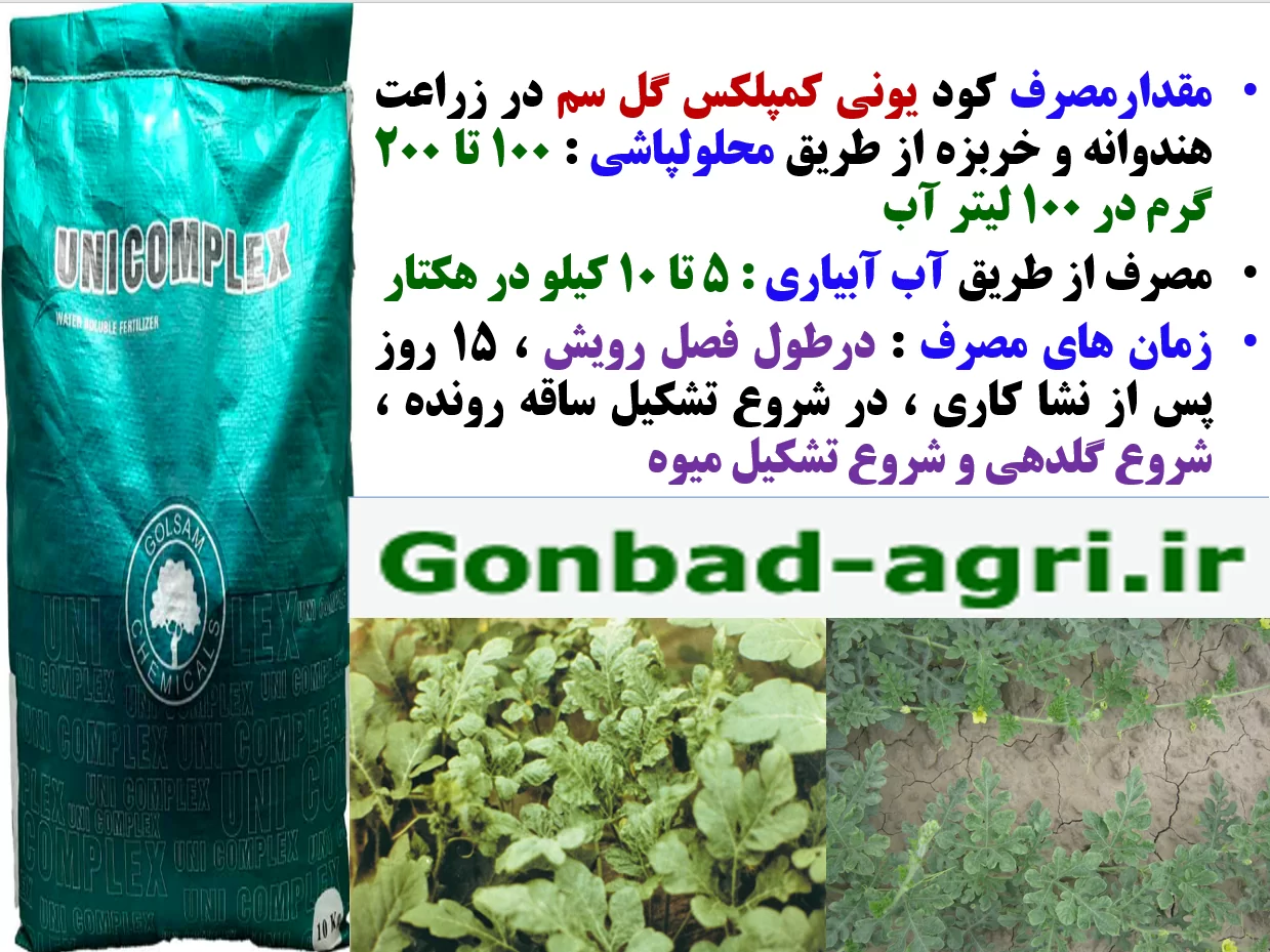 کودریزمغذی یونی کمپلکس گل سم برای افزایش تولید و کیفیت میوه های هندوانه و خربزه – قسمت دوم