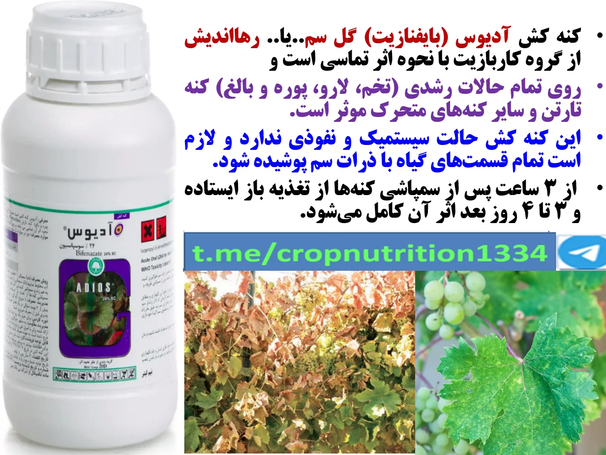 کنه کش ادیوس گل سم برای کنترل کنه های درخت انگور به خصوص کنه نمدی – قسمت سوم