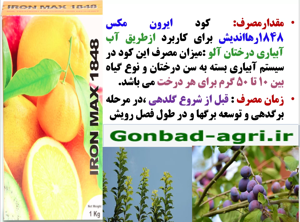 کود آهن ایرون مکس رهااندیش برای تقویت گلدهی و میوه دهی درختان آلو- قسمت دوم