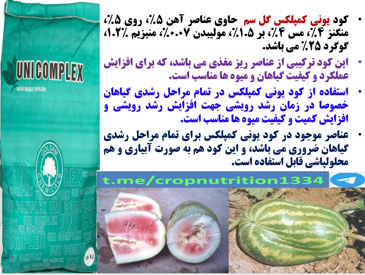 کودریزمغذی یونی کمپلکس گل سم برای افزایش تولید و کیفیت میوه های هندوانه و خربزه – قسمت سوم