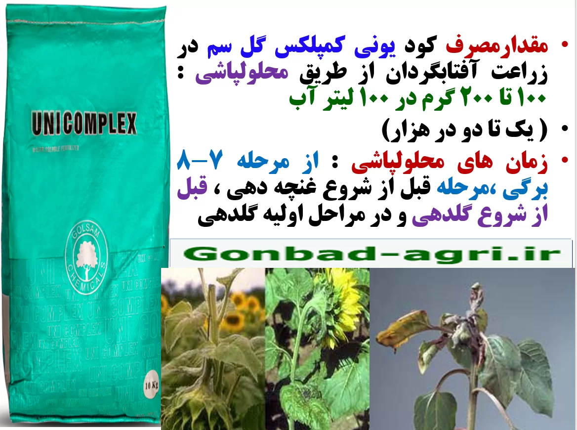 اهمیت کاربرد کود یونی کمپلکس گل سم در زراعت آفتابگردان دیم- قسمت دوم