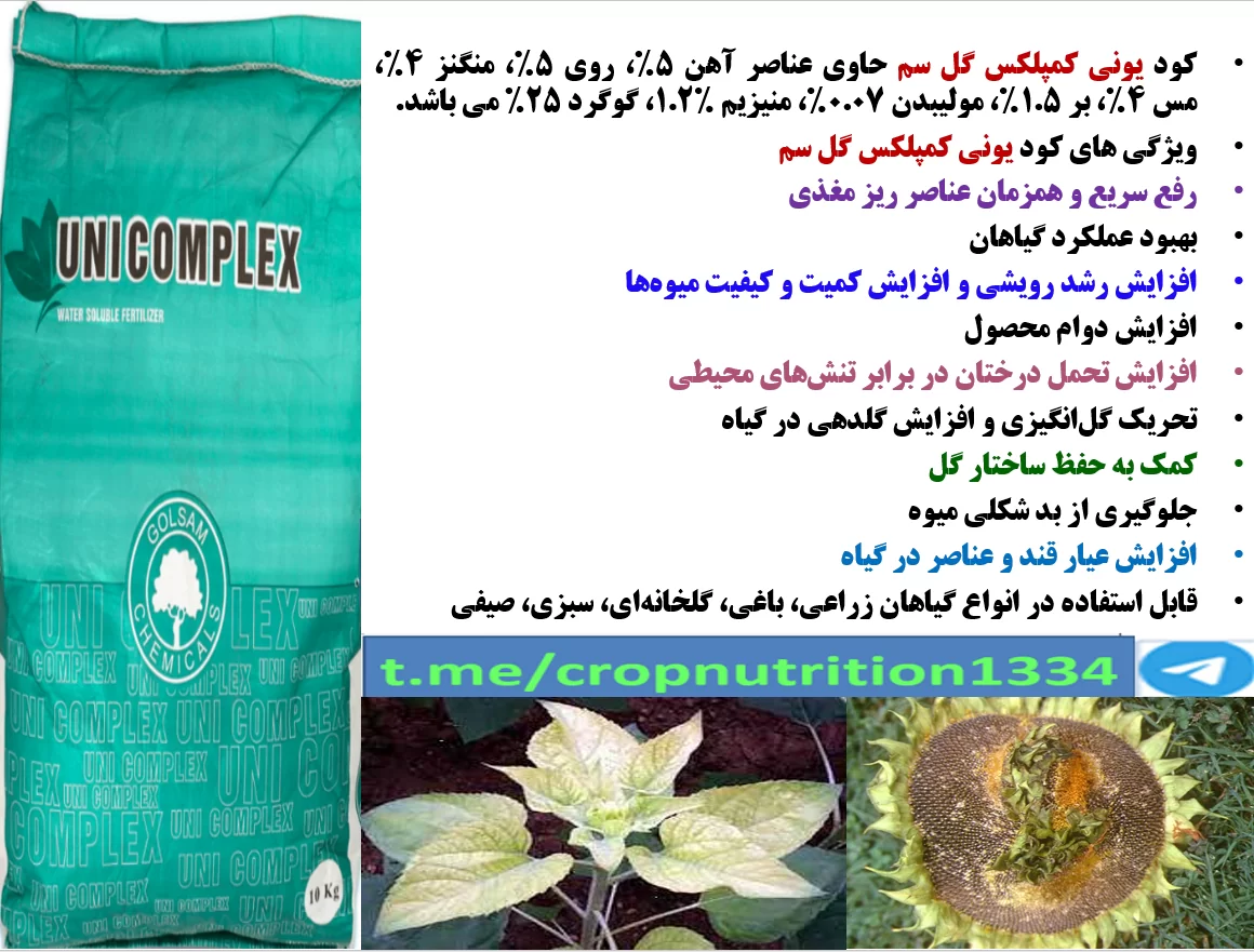 اهمیت کاربرد کود یونی کمپلکس گل سم در زراعت آفتابگردان دیم- قسمت سوم