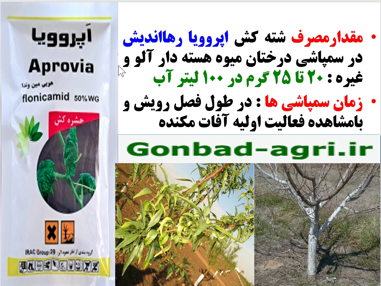 کنترل شته درختان میوه هلو و شلیل با حشره کش اپرووریا رهااندیش – قسمت دوم