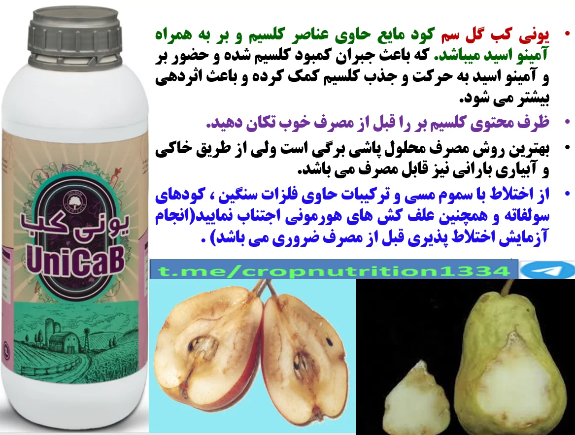 تاثیر کود یونی کب گل سم در افزایش تولید و کیفیت میوه های گلابی – قسمت سوم