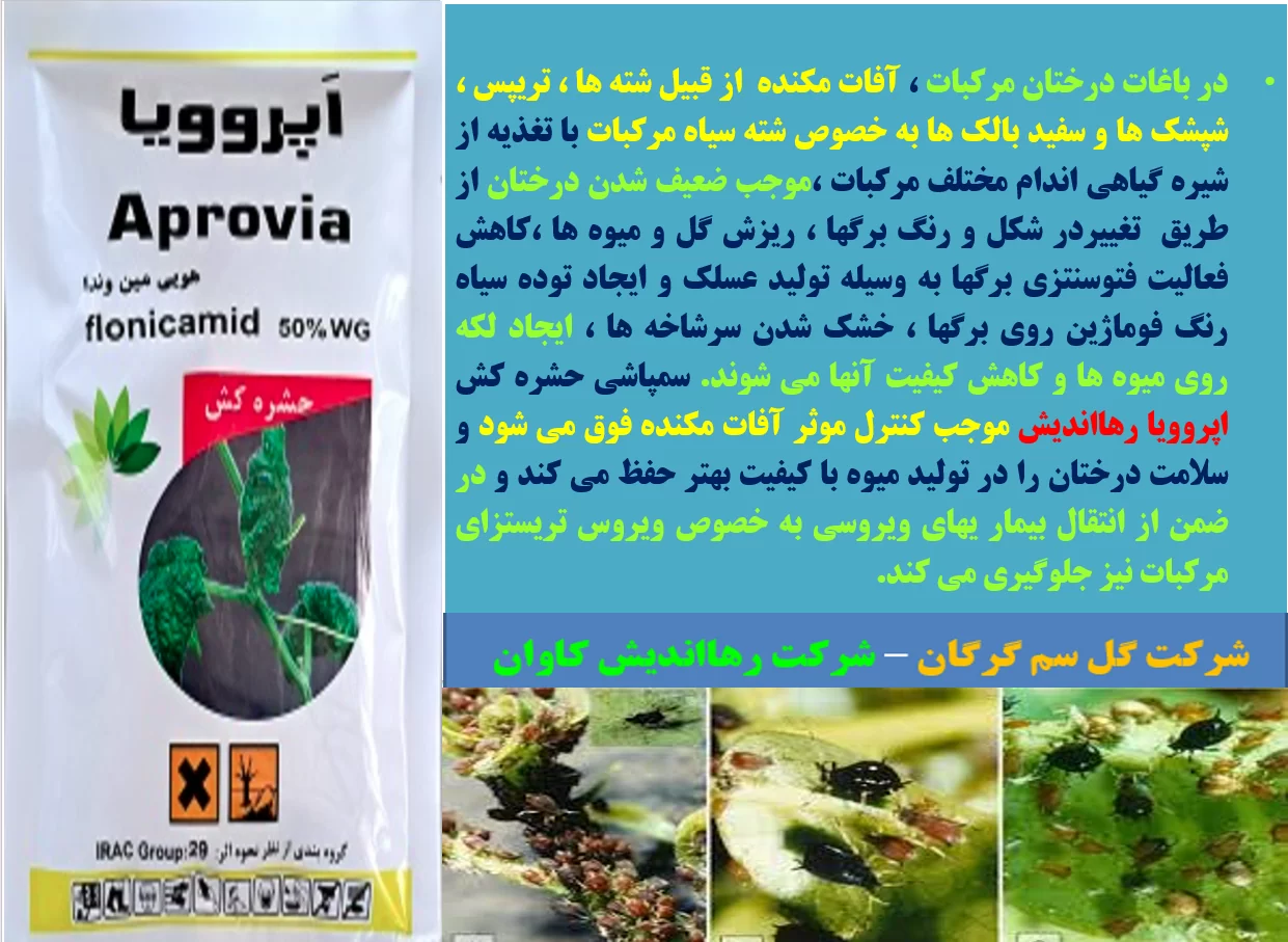 حشره کش اپروویا رهااندیش برای کنترل موثر آفات مکنده درختان مرکبات – قسمت اول