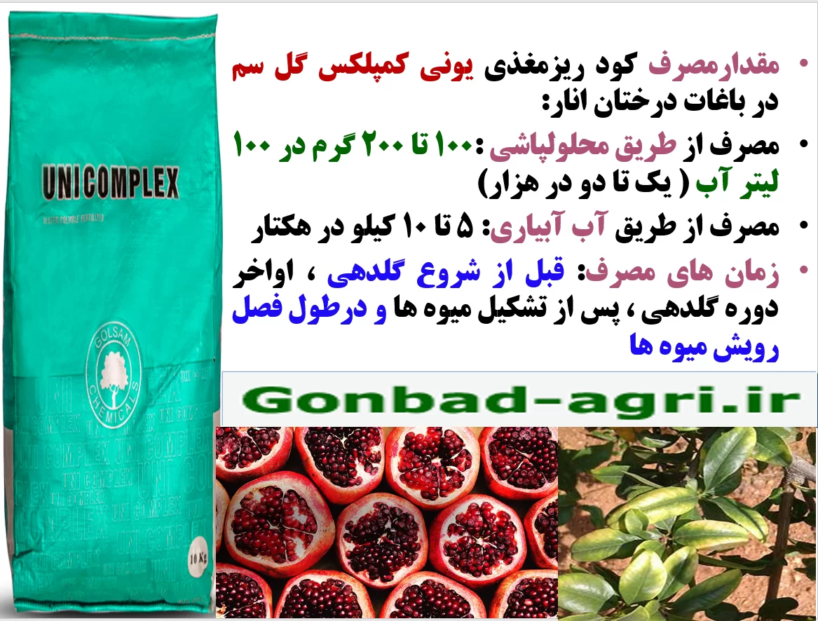 تاثیر کود یونی کمپلکس گل سم در افزایش تولید و کیفیت میوه های انار- قسمت دوم