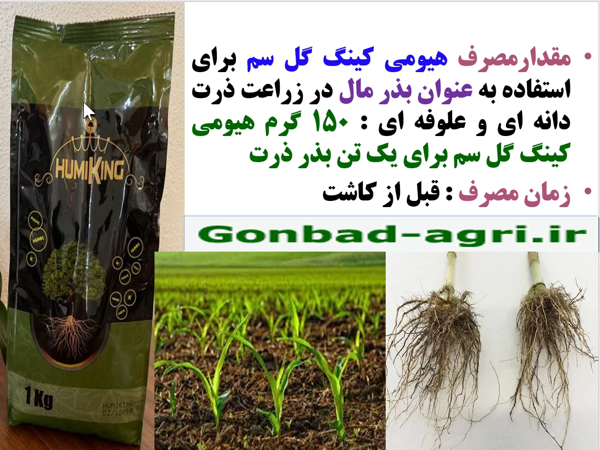 کودآلی هیومی کینگ گل سم بذر مال موثر برای جوانه زنی بذور ذرت – قسمت دوم