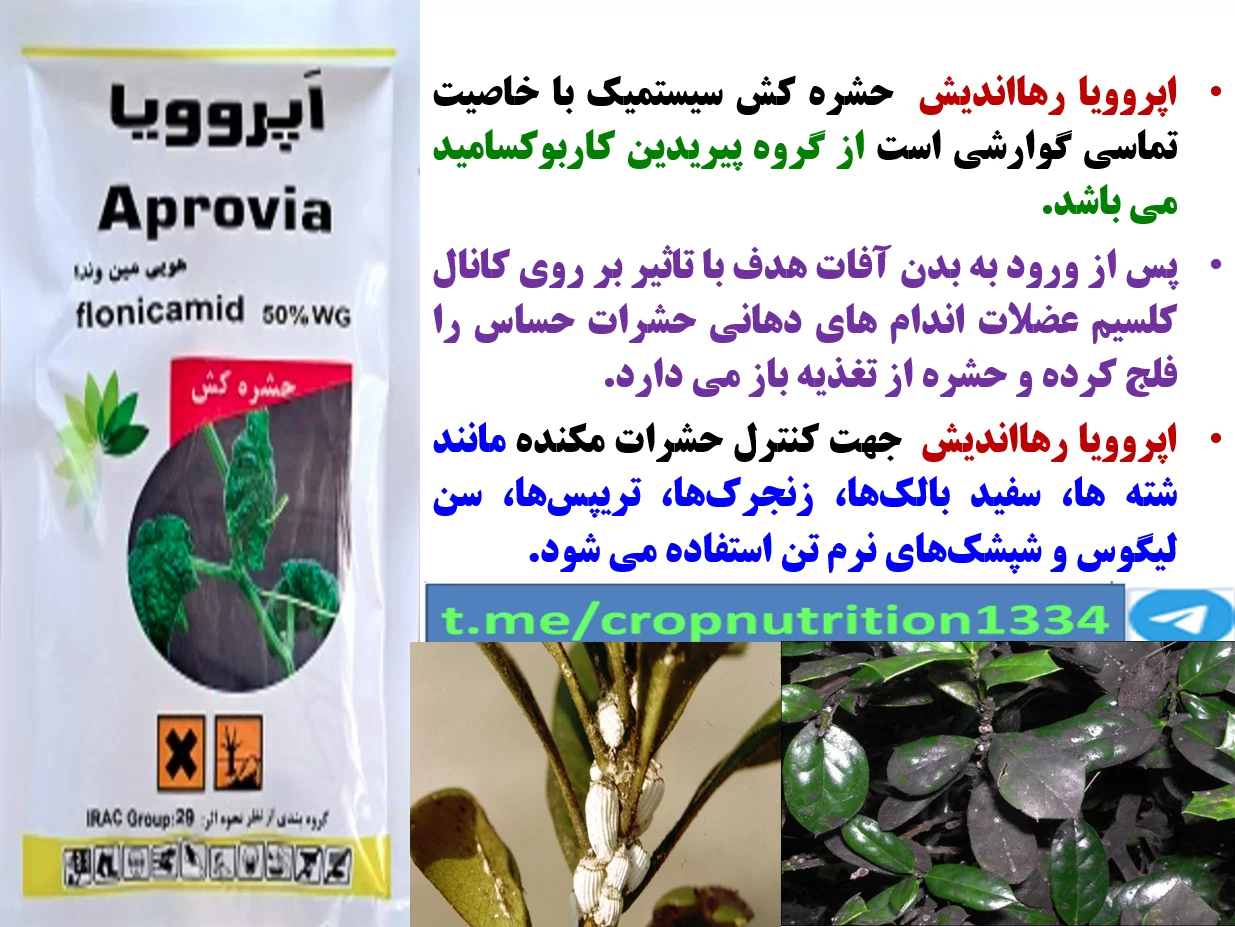 حشره کش اپروویا رهااندیش برای کنترل موثر آفات مکنده درختان مرکبات – قسمت سوم