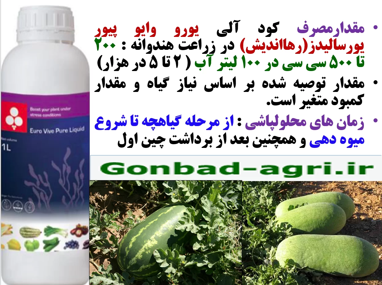 تاثیر کود آلی یورو وایو پیور رهااندیش در افزایش تولید هندوانه و خربزه -قسمت دوم