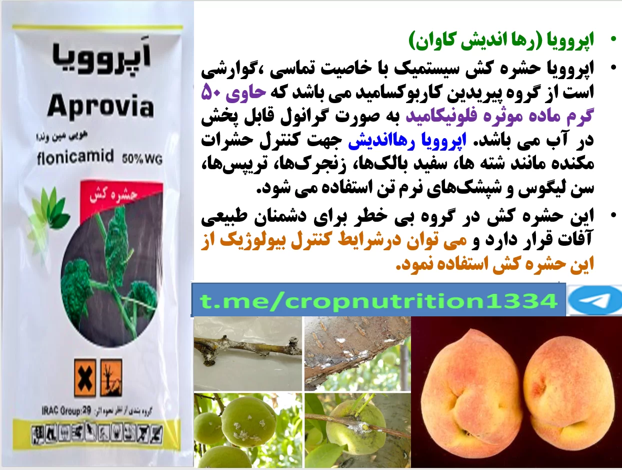 کنترل شته درختان میوه هلو و شلیل با حشره کش اپرووریا رهااندیش – قسمت سوم