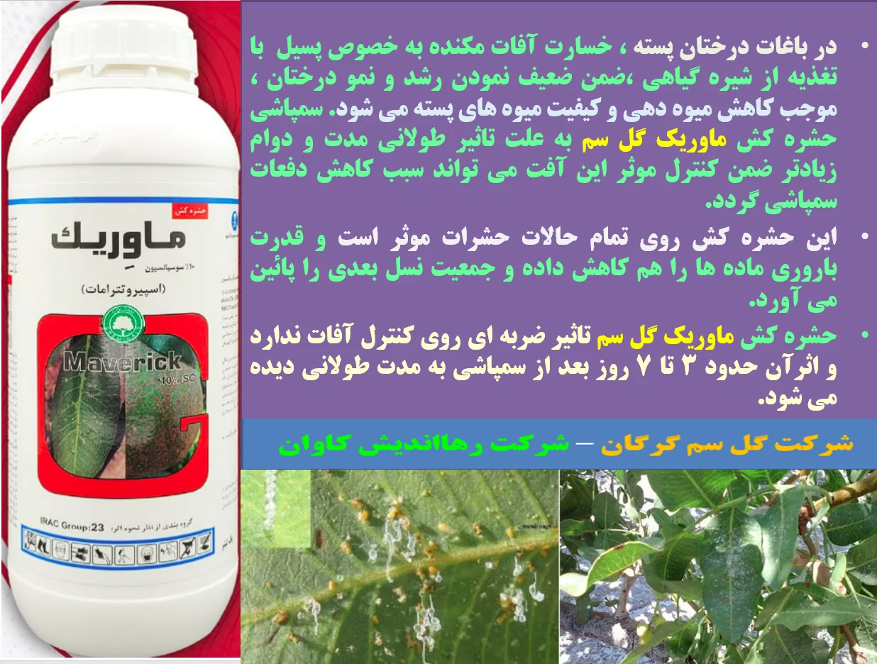 حشره کش ماوریک گل سم برای کنترل موثر آفات مکنده به خصوص پسیل پسته – قسمت اول