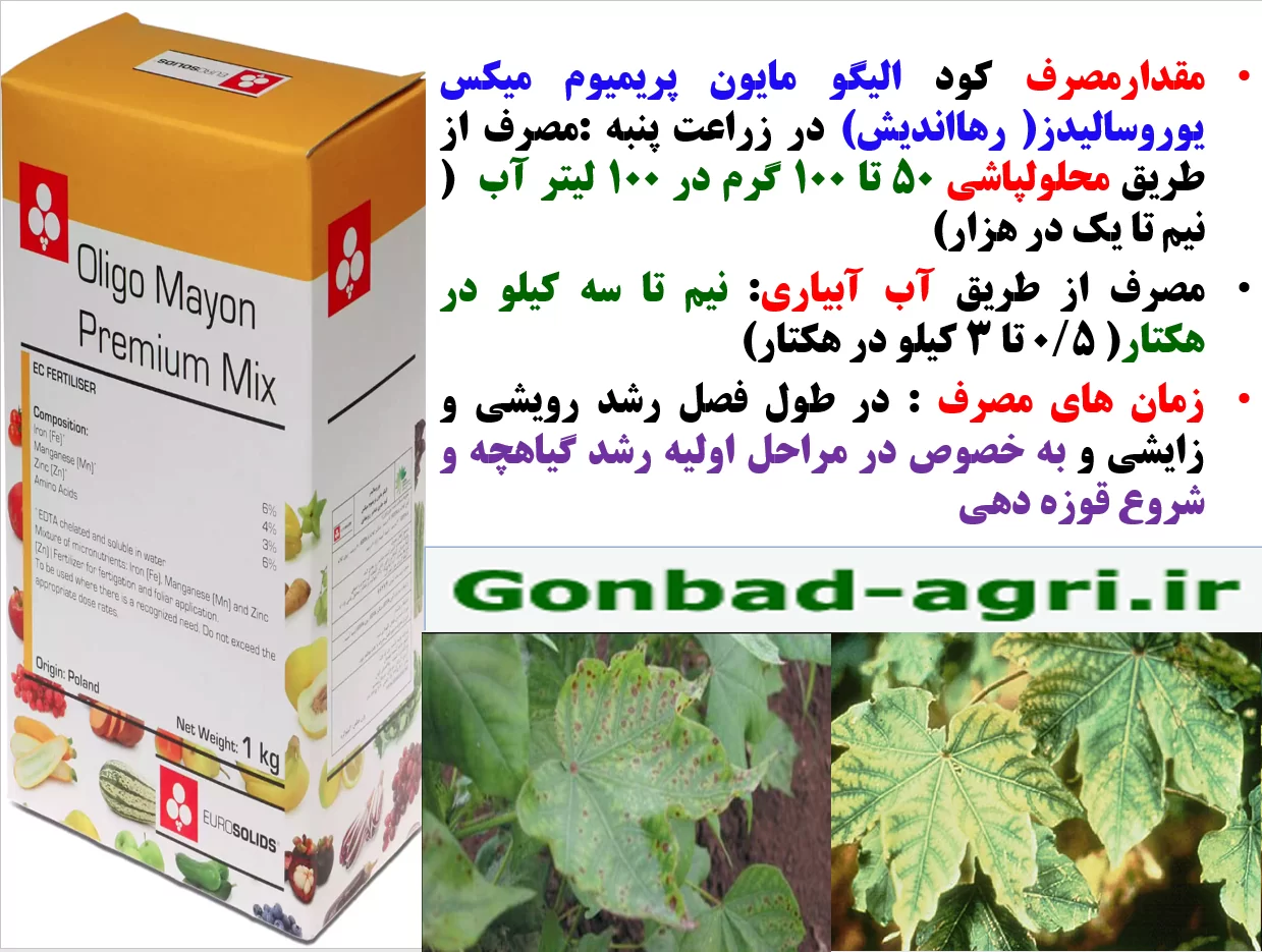 کاربرد کود ریزمغذی الیگو مایون پریمیوم میکس رهااندیش برای افزایش تولید در زراعت پنبه – قسمت دوم