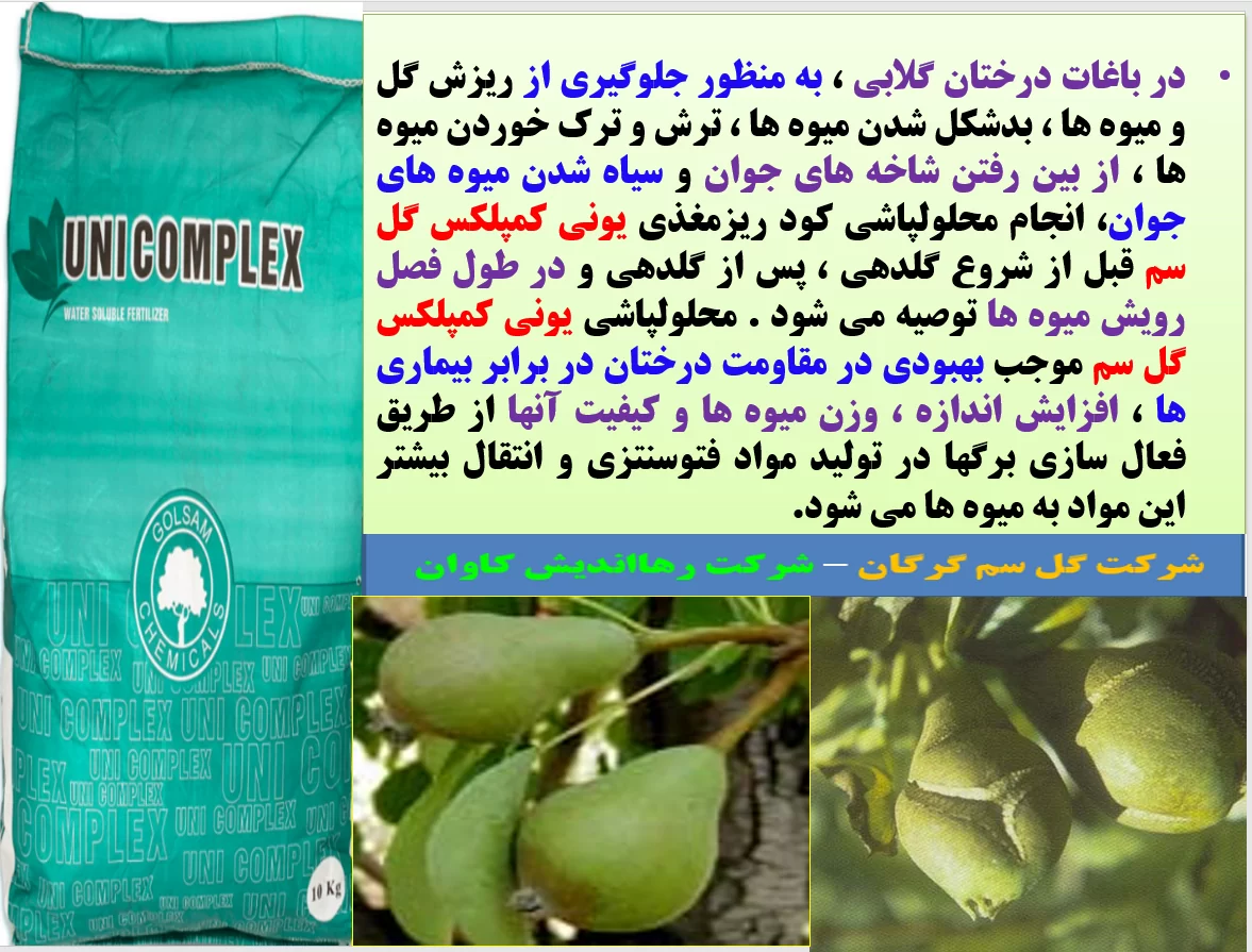 افزایش تولید میوه گلابی و کیفیت آن با محلولپاشی یونی کمپلکس گل سم- قسمت اول