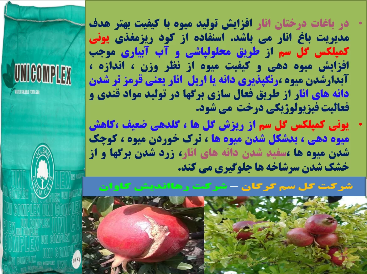 تاثیر کود یونی کمپلکس گل سم در افزایش تولید و کیفیت میوه های انار- قسمت اول