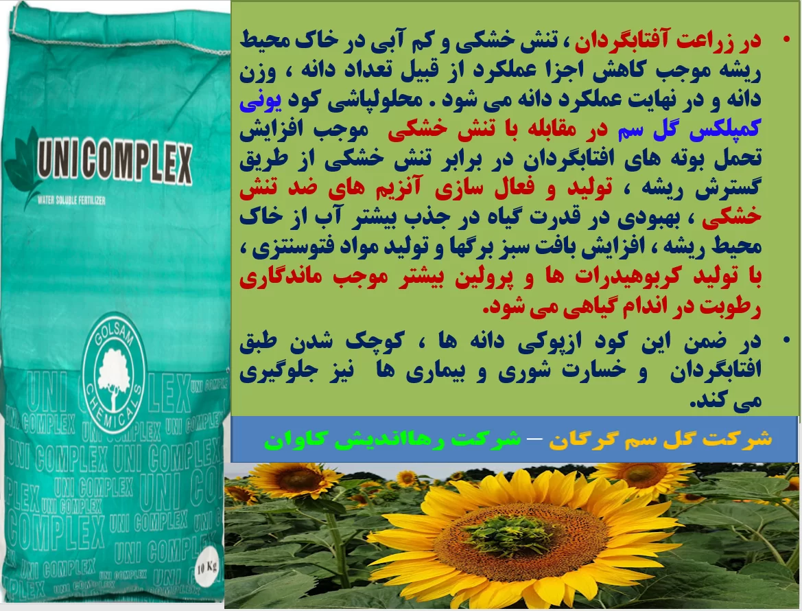 اهمیت کاربرد کود یونی کمپلکس گل سم در زراعت آفتابگردان دیم- قسمت اول