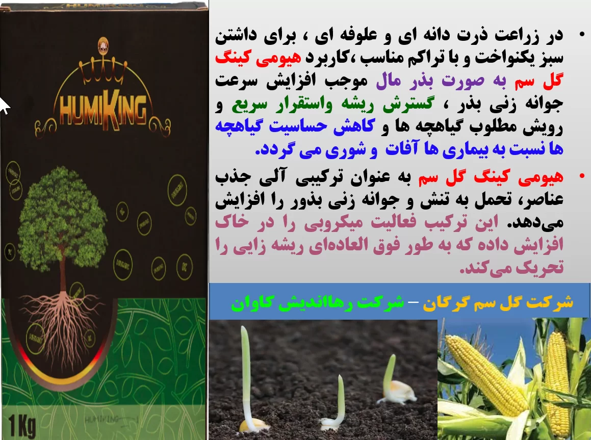 کودآلی هیومی کینگ گل سم بذر مال موثر برای جوانه زنی بذور ذرت – قسمت اول