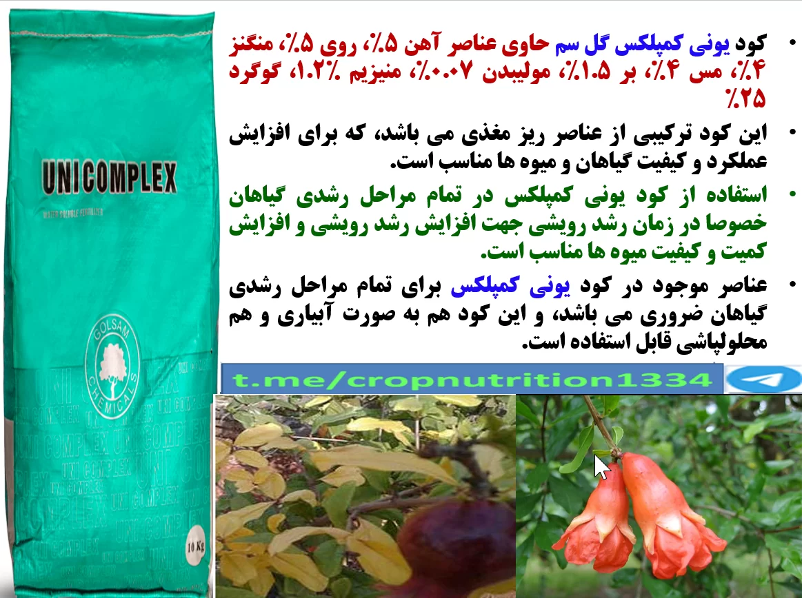 تاثیر کود یونی کمپلکس گل سم در افزایش تولید و کیفیت میوه های انار- قسمت سوم