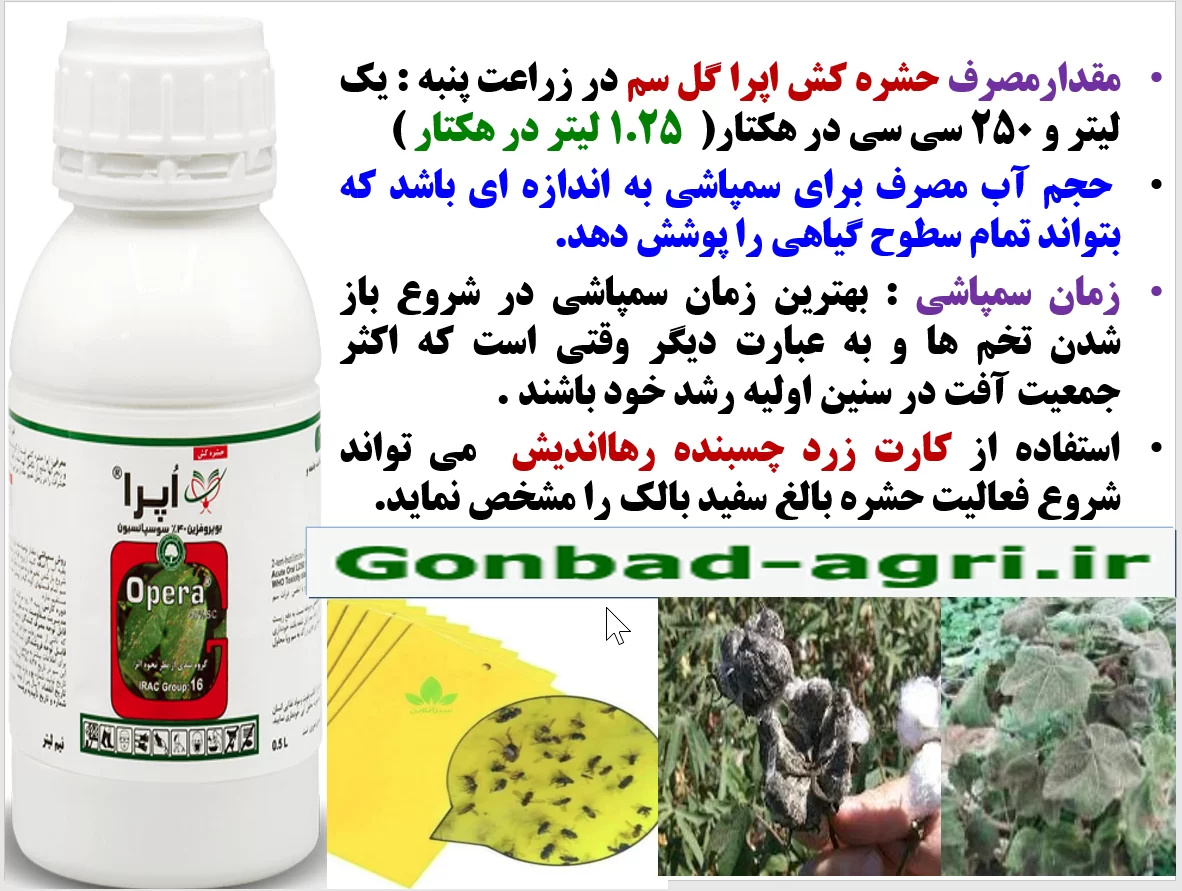 حفظ توان بوته های پنبه در افزایش تولید وش پنبه و کیفیت آن با حشره کش اپرا گل سم – قسمت دوم