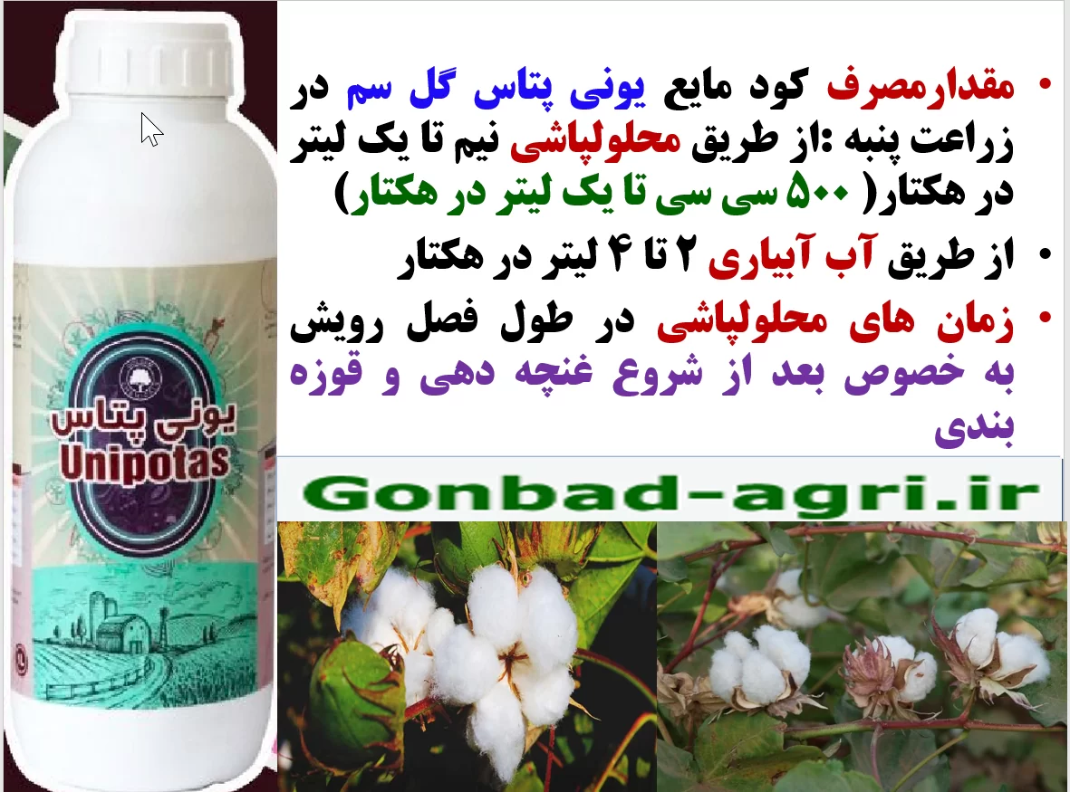 کاربرد کود مایع یونی پتاس گل سم در زراعت پنبه به منظور افزایش تولید وش پنبه – قسمت دوم