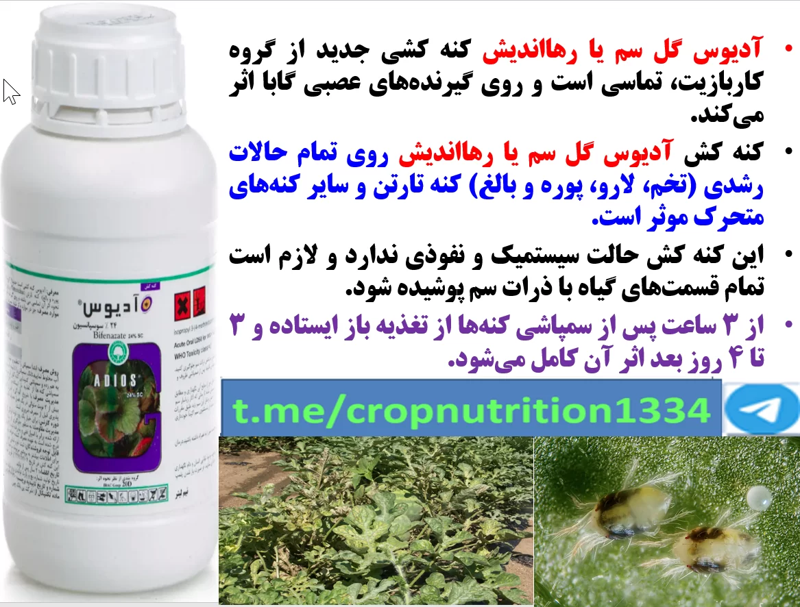 کنه کش ادیوس گل سم و رهااندیش در کنترل موثر کنه های زراعت هندوانه – قسمت سوم