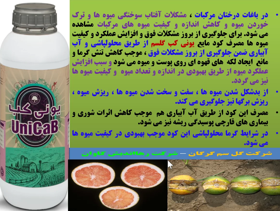کاربرد کود یونی کب گل سم در درختان مرکبات به منظور افزایش کیفیت میوه ها – قسمت اول