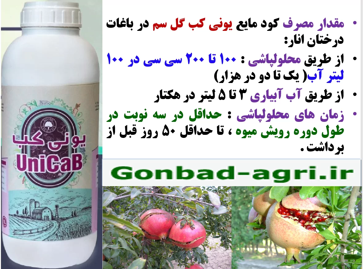 افزایش کیفیت و کمیت میوه انار با کود یونی کب گل سم – قسمت دوم