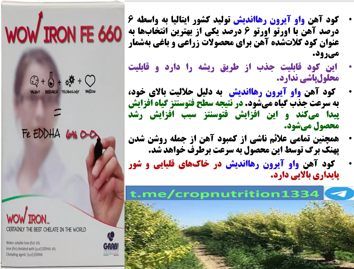 افزایش تولید و کیفیت میوه درختان سیب با کود واو ایرون رهااندیش- قسمت سوم