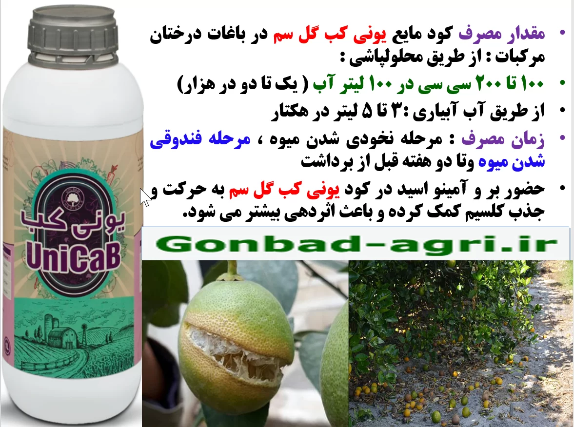 کاربرد کود یونی کب گل سم در درختان مرکبات به منظور افزایش کیفیت میوه ها – قسمت دوم